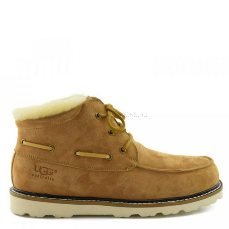 UGG Men's Ailen Chestnut