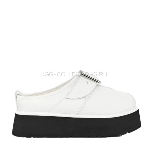 X Oc Tasman White